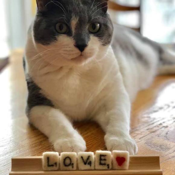 Meet your Posher, Cheryl - Picture 1 of 1